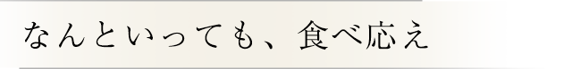 なんといっても、食べ応え